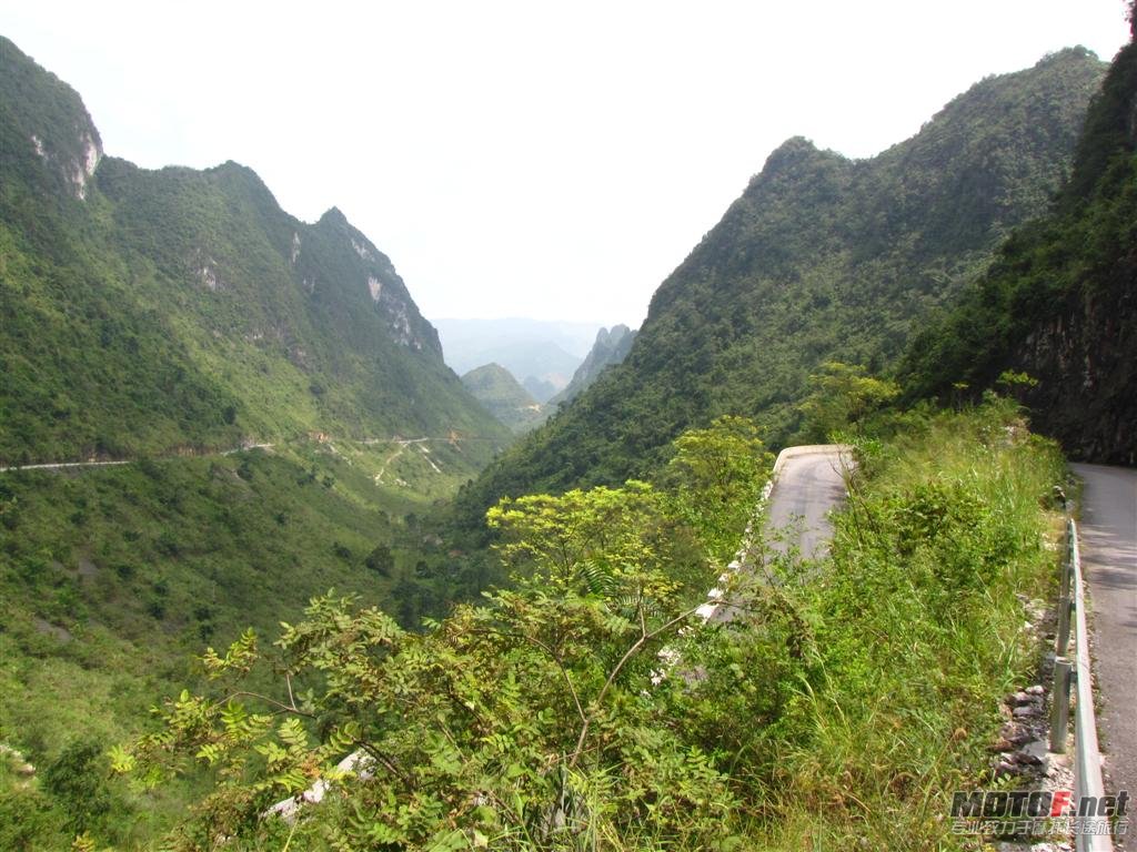 IMG_1198 (大型).JPG