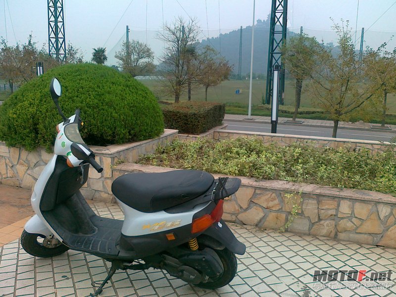 20101018166.jpg