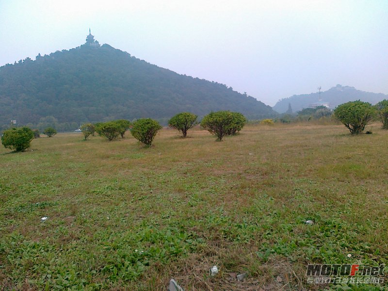 20101018169.jpg