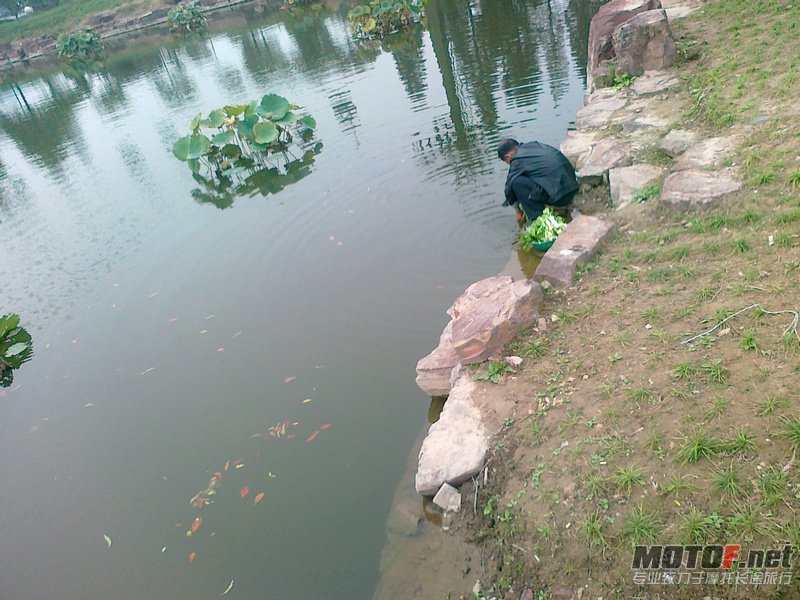 20101018180.jpg