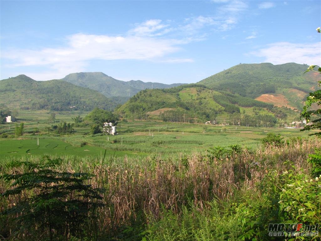 照片 052 (大型).jpg