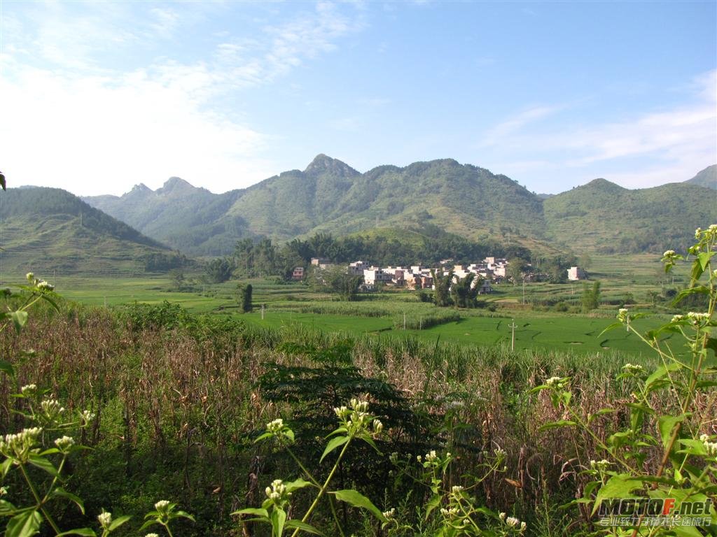 照片 053 (大型).jpg