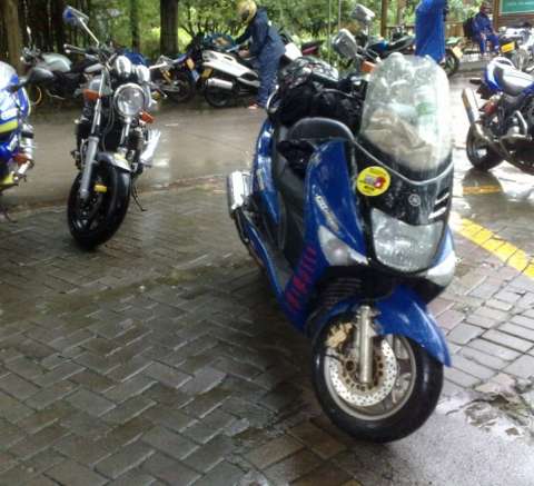 majesty125