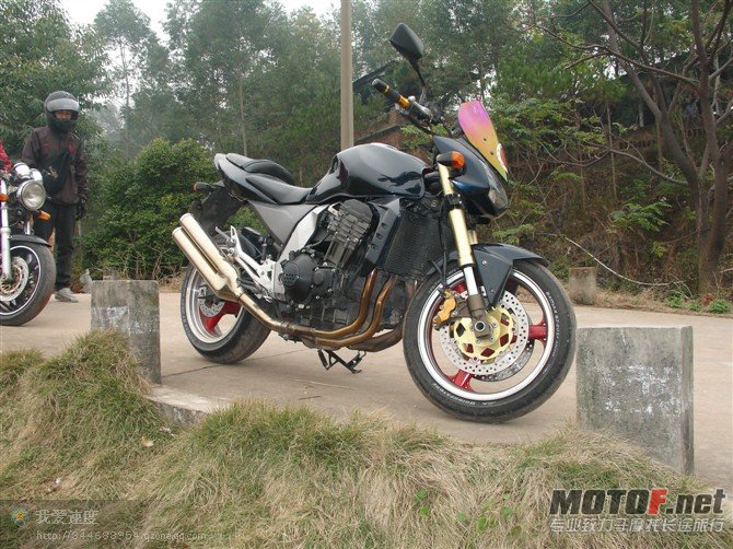 Z10004.jpg