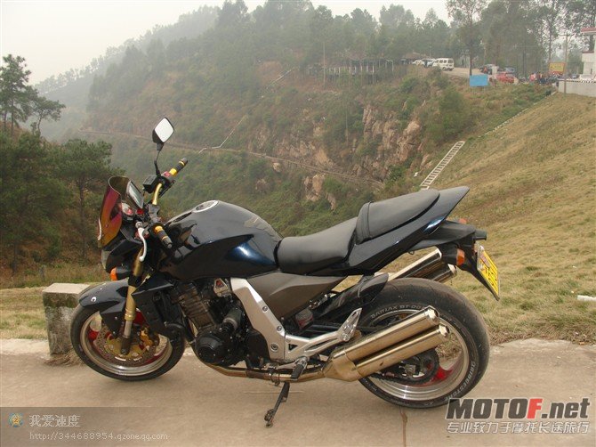 Z10003.jpg