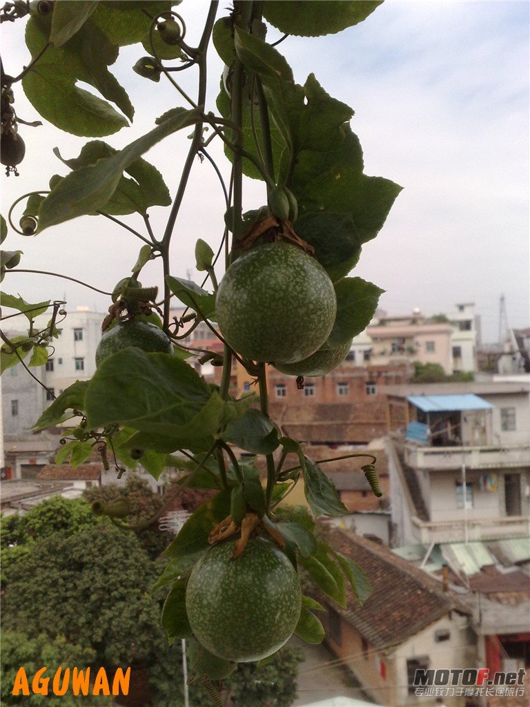 201010241197_副本.jpg