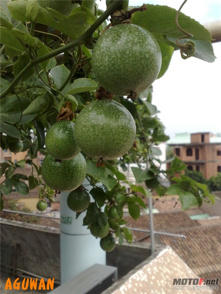 201010241196_副本.jpg