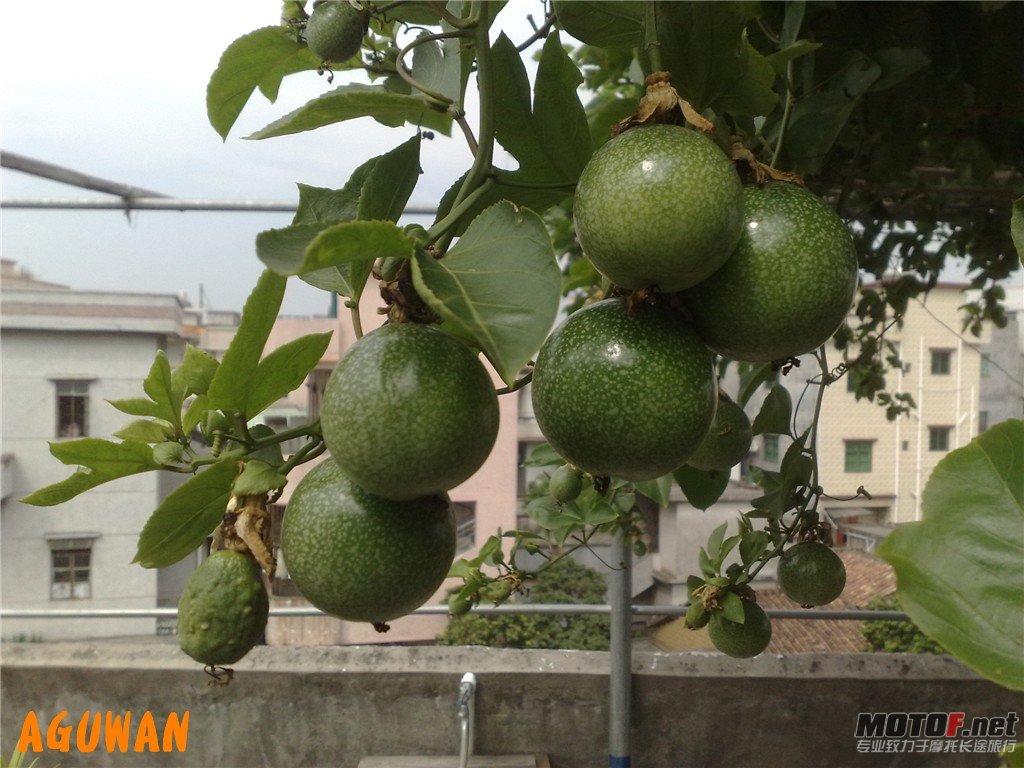 201010241193_副本.jpg