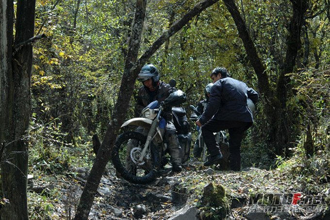DSC_0193.JPG