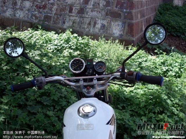 12_10845_65739c749727ace_7z9E9kT9gHif.jpg