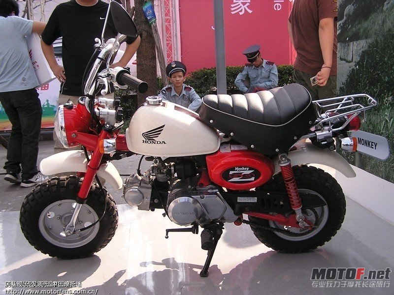 aBORXS72V6795.jpg