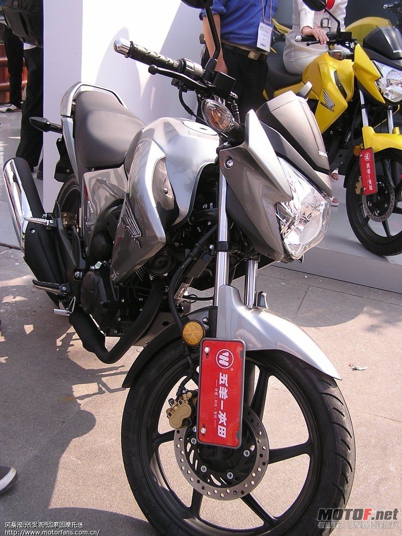 dt2AN7RXa7182.jpg
