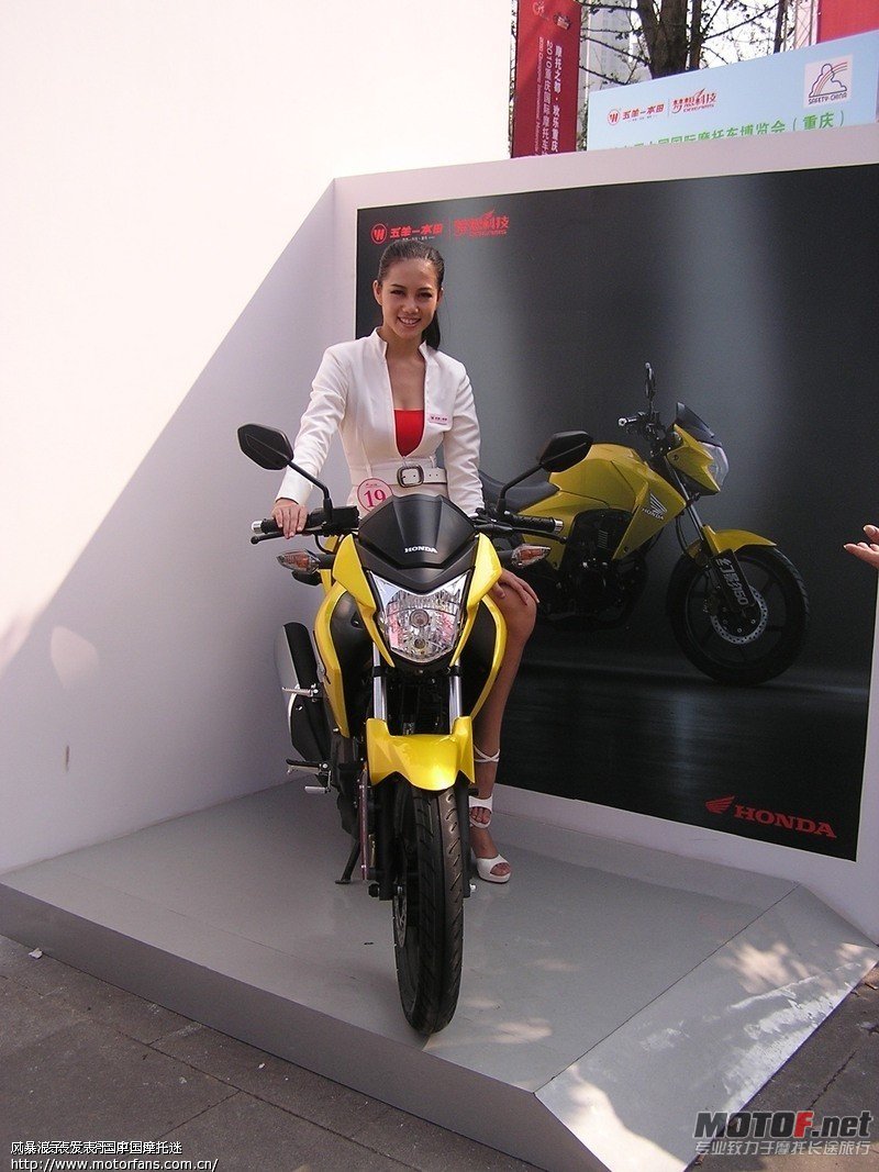 ENzp9ZDvR4419.jpg