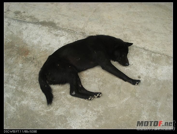 nEO_IMG_DSC01401.jpg