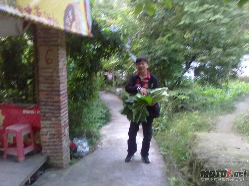 51.jpg