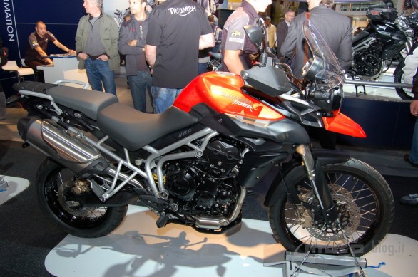 novita_triumph_eicma_2010_01.jpg