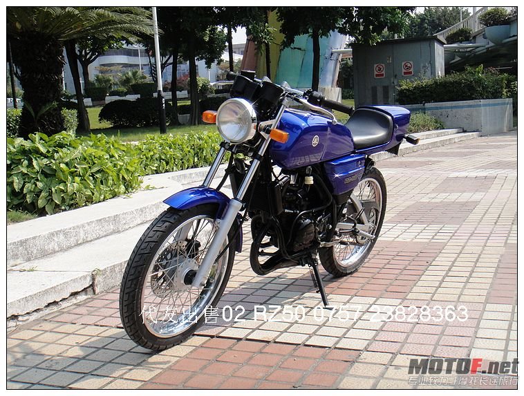 nEO_IMG_DSC03607.jpg