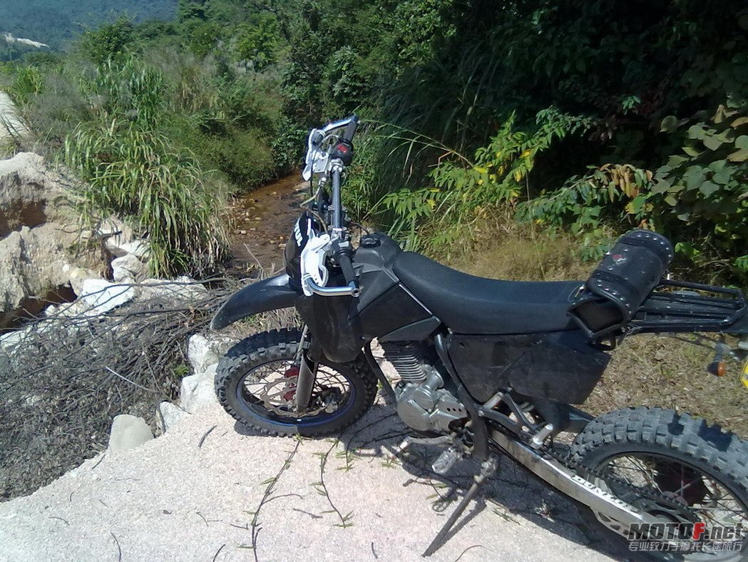 20101108077.jpg