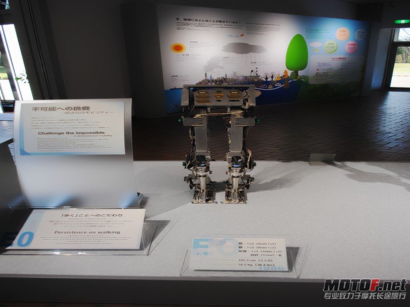 conew_dsc_0129.jpg