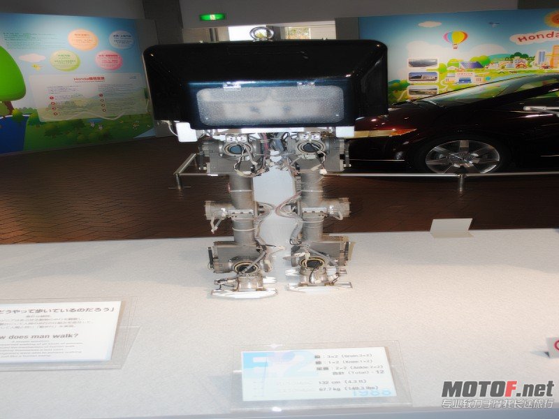 conew_dsc_0131.jpg
