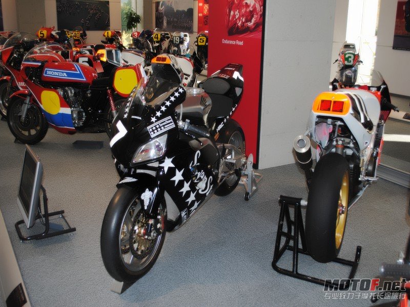 conew_dsc_0263.jpg