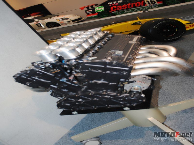 conew_dsc_0286.jpg
