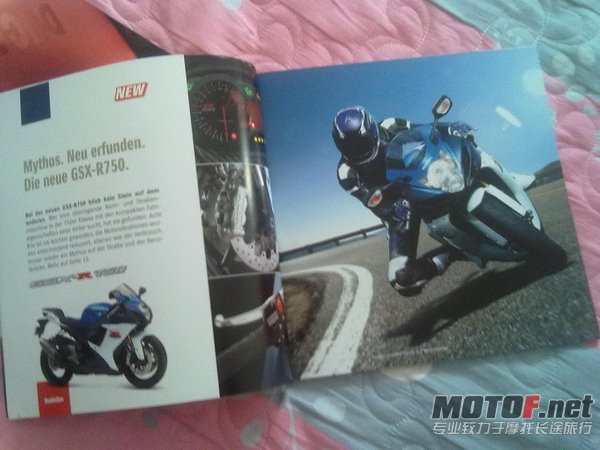 20101113227.jpg