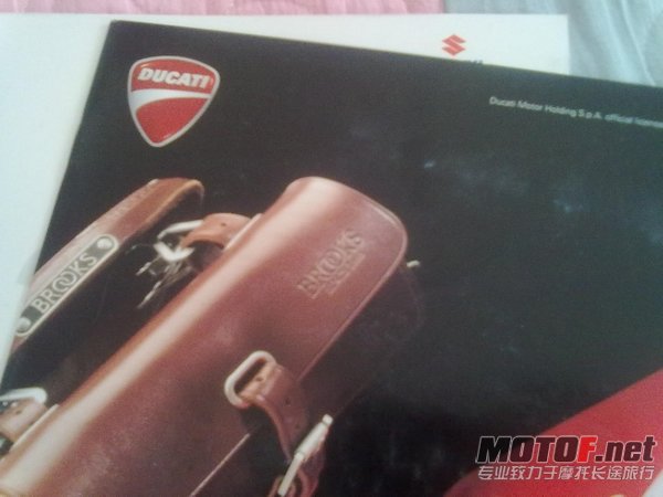 20101113230.jpg