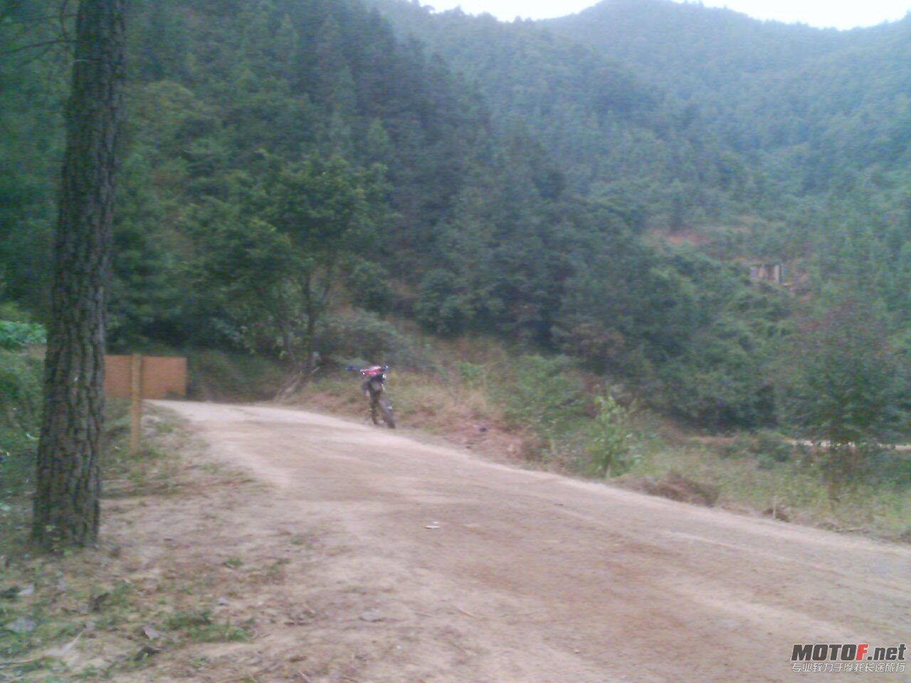 201011141727_00029.jpg