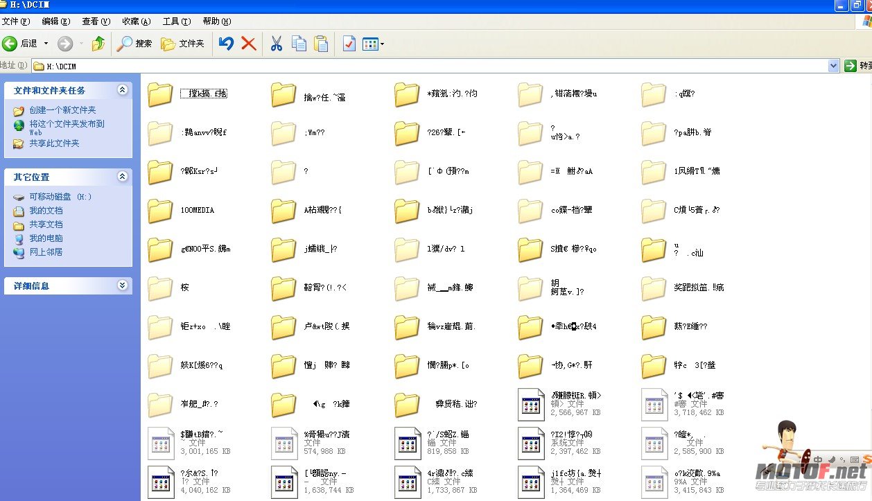 6这是什么东东啊今天拍的相片.jpg