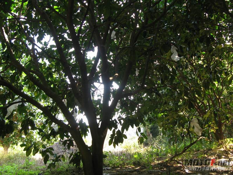 B 163.JPG