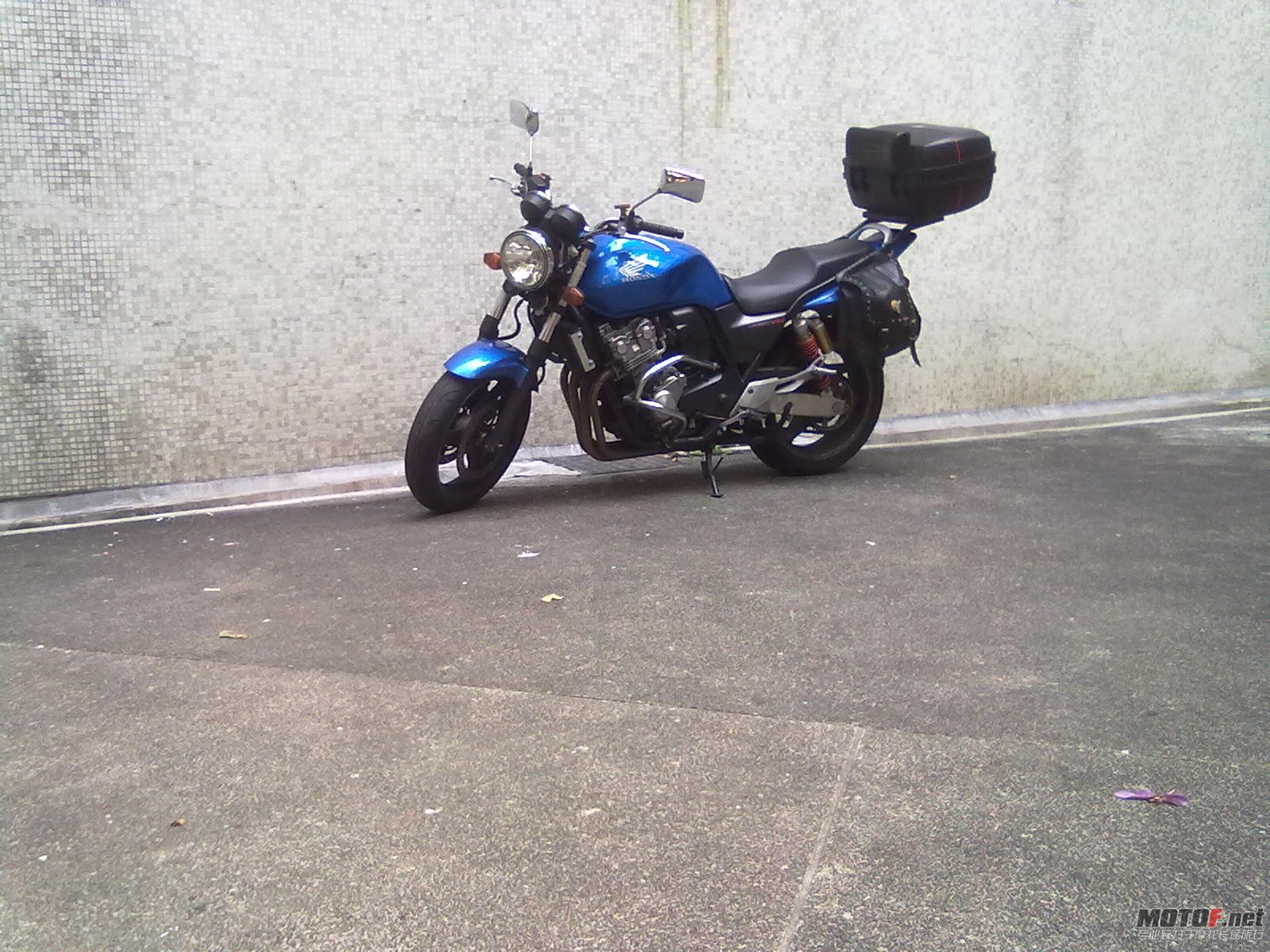 20101111046.jpg