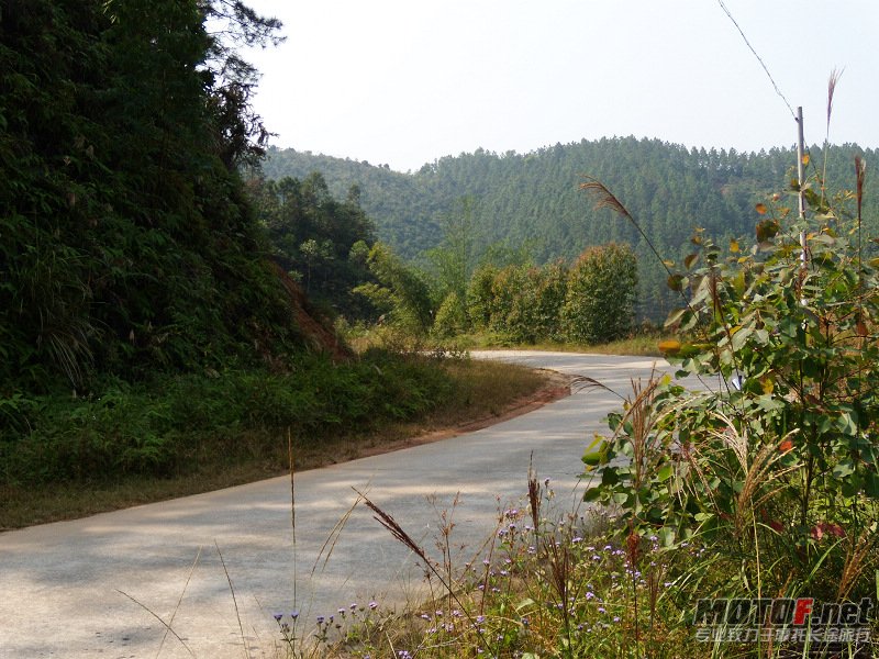 DSCN7167.jpg