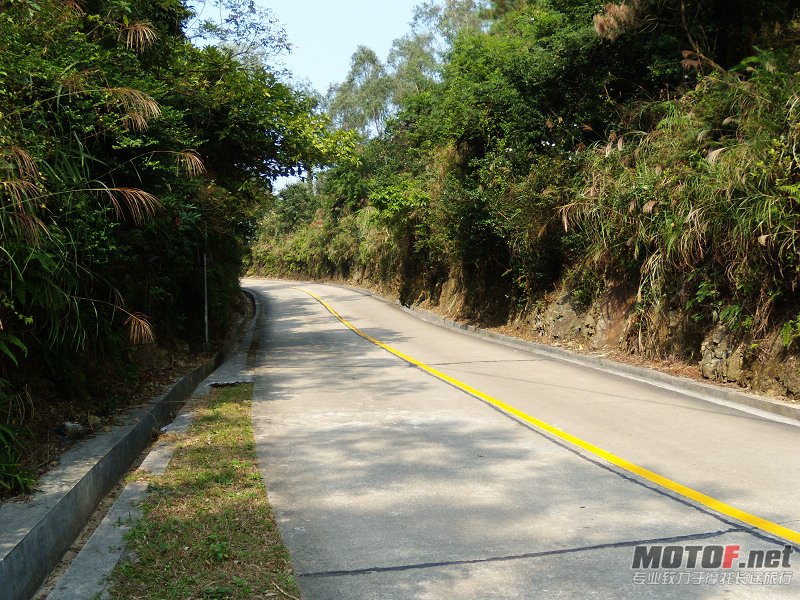 DSCN7194.jpg