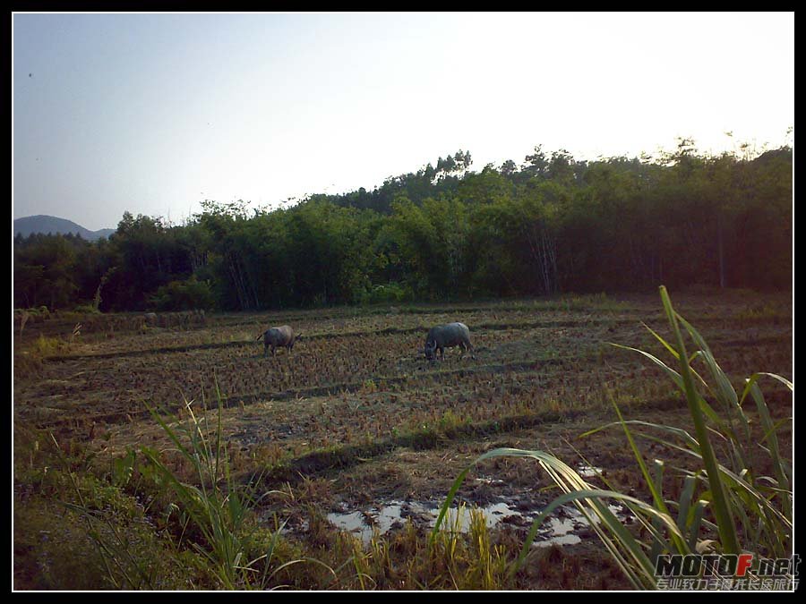 20101119183.jpg