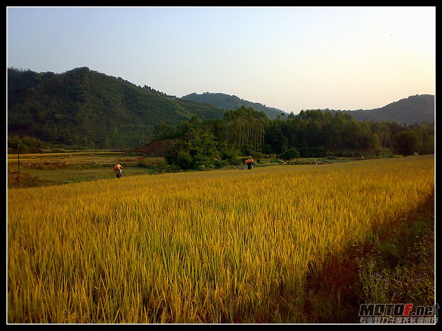 20101119215.jpg
