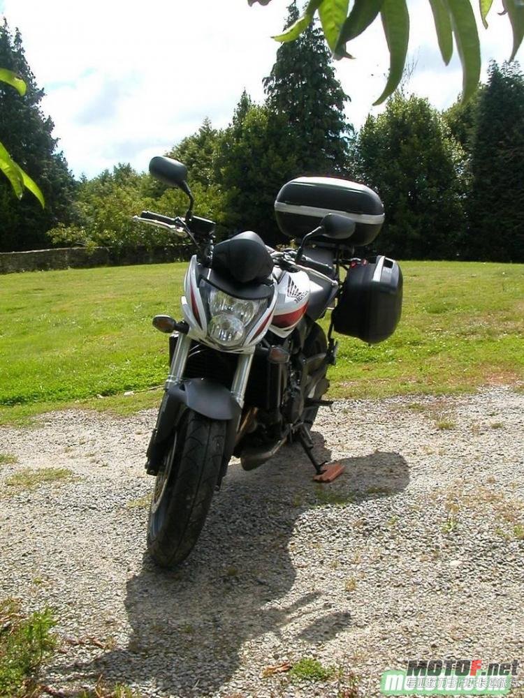 1266925556302189-Honda-CB-600-(Hornet)-[1].jpg