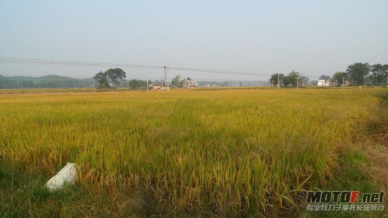 L1020152.JPG