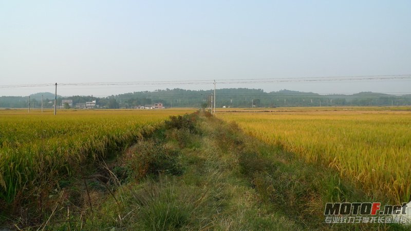 L1020156.JPG