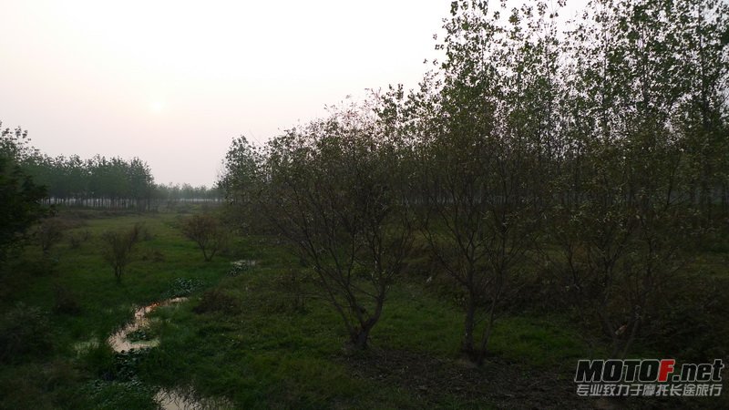 L1020171.JPG