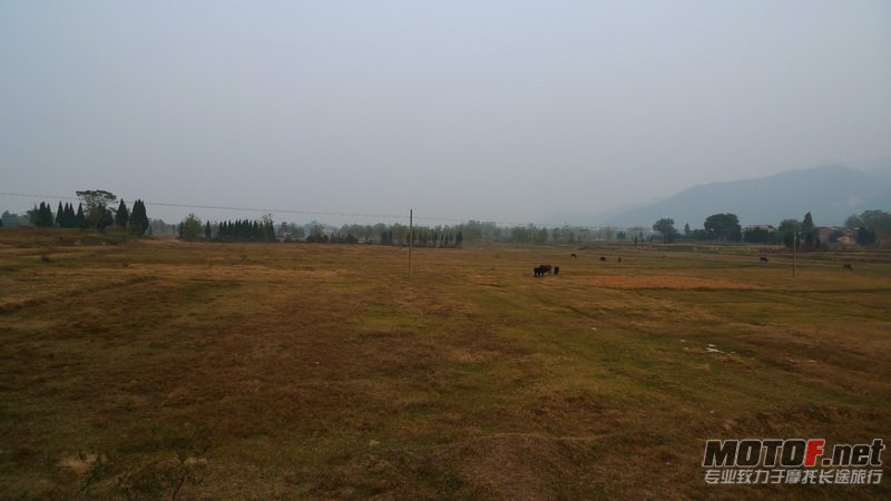 L1020178.JPG