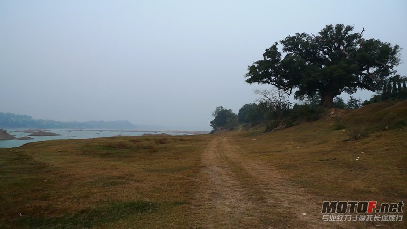 村尾的大树,与村头的美景相呼应