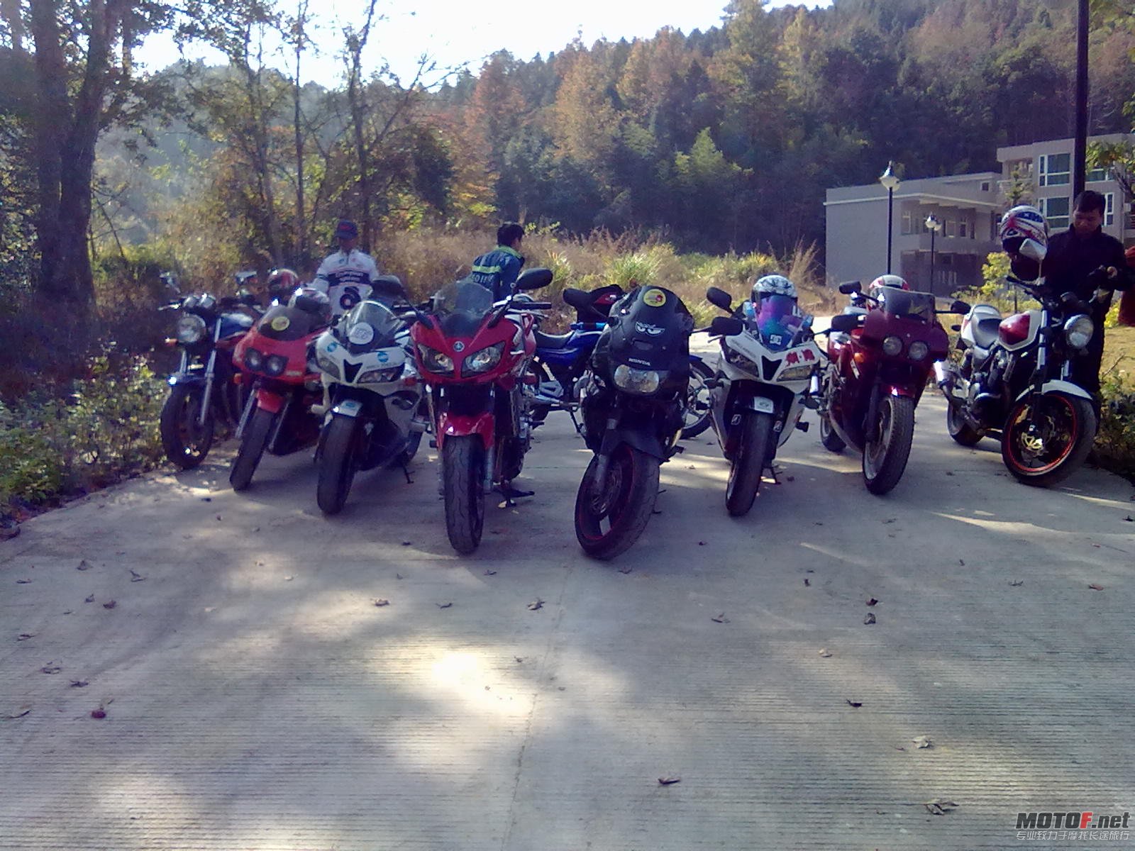 20101120148.jpg