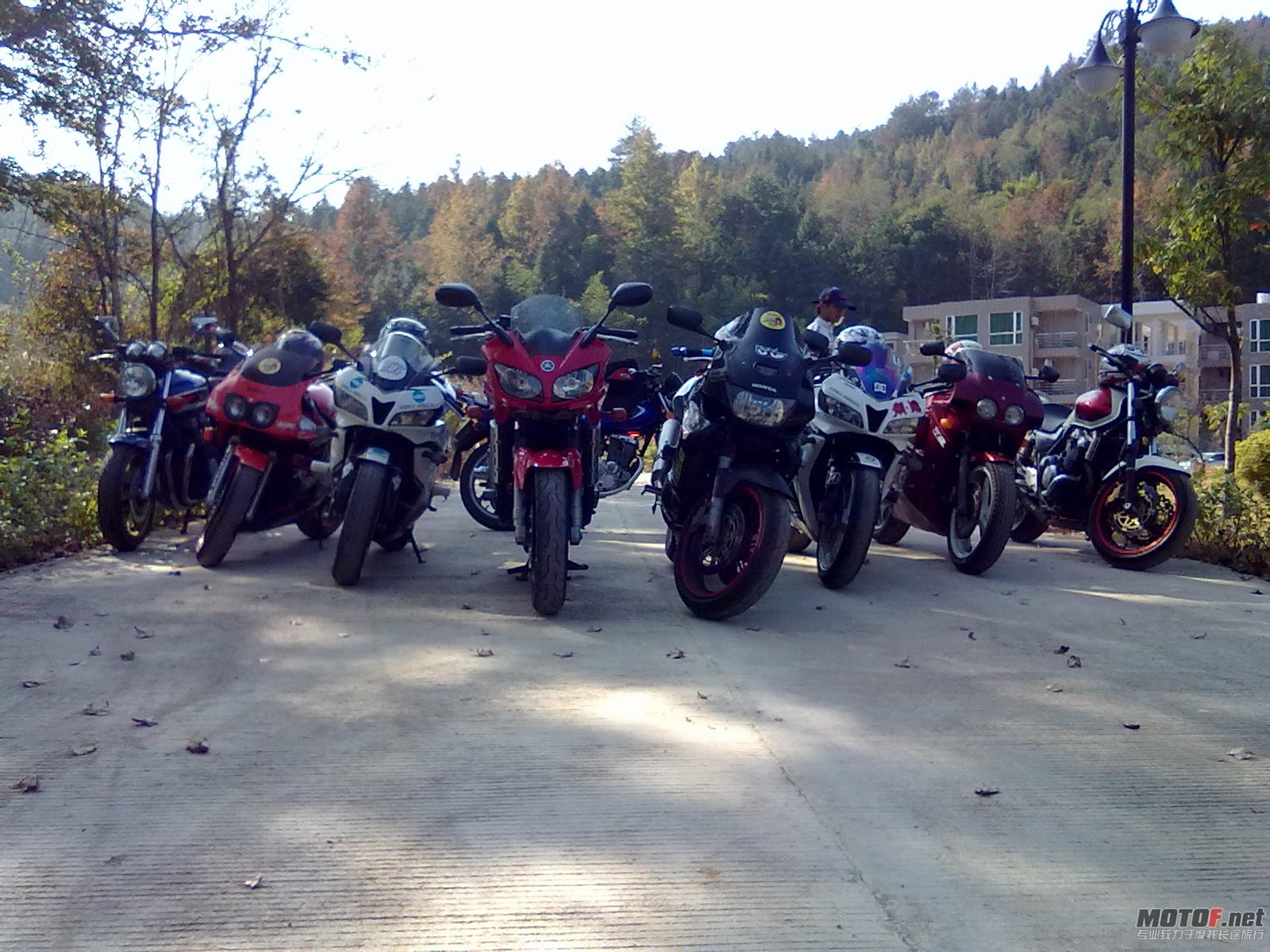 20101120149.jpg