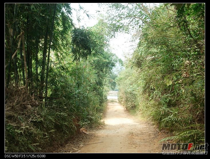 nEO_IMG_DSC01483.jpg