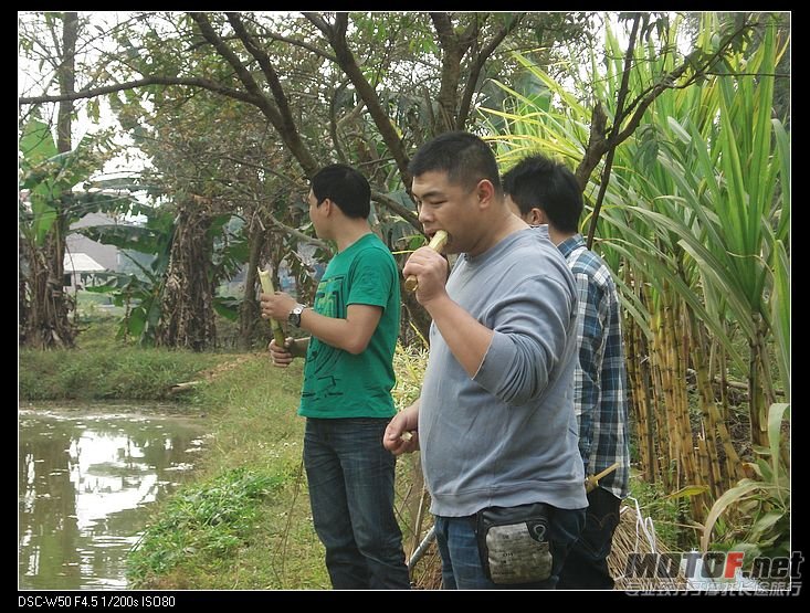 nEO_IMG_DSC01491.jpg