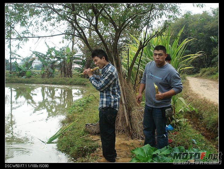 nEO_IMG_DSC01492.jpg