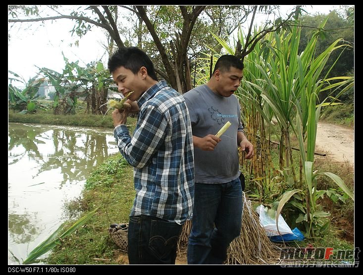 nEO_IMG_DSC01494.jpg