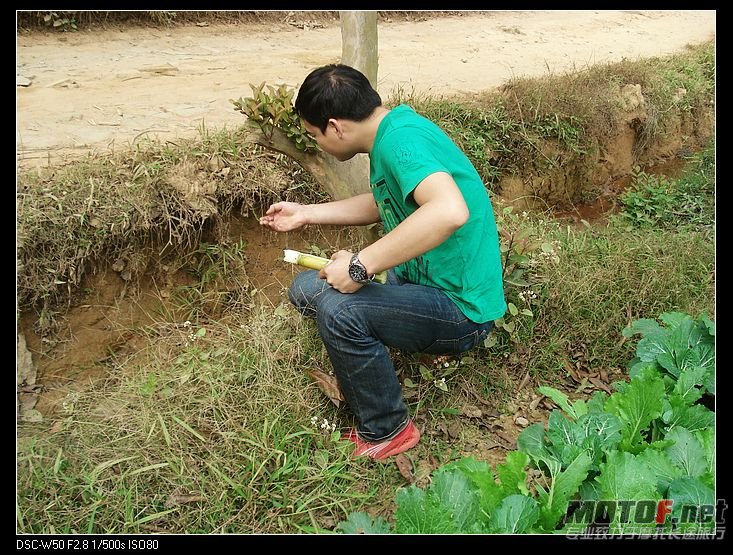 nEO_IMG_DSC01495.jpg