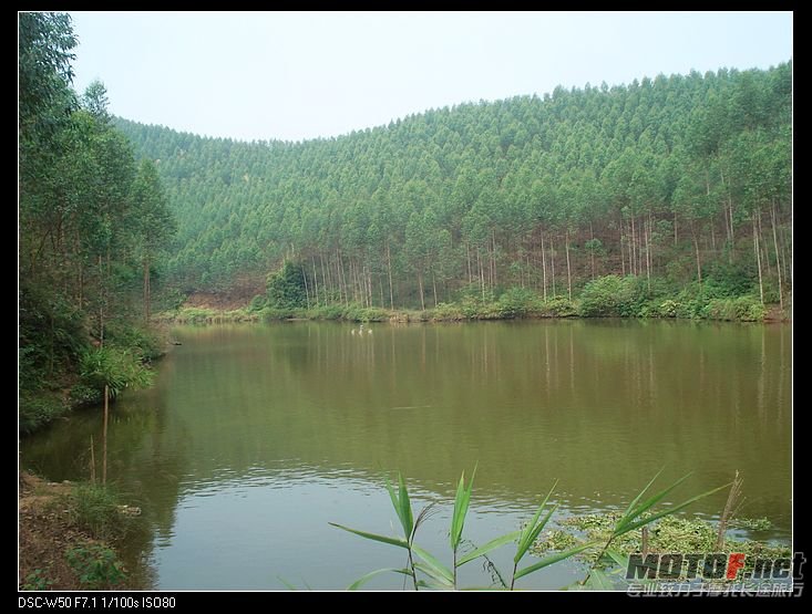nEO_IMG_DSC01500.jpg